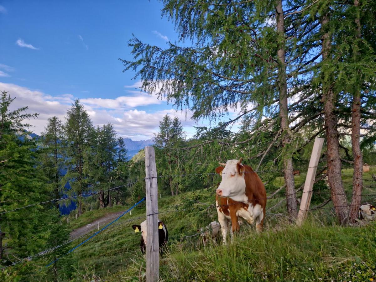 Almgasthaus Glocknerblick Großkirchheim 外观 照片